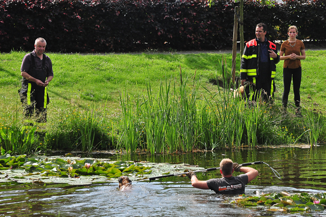 Brandweerman redt hond uit Waalwijkse vijver aan de Groenewoudlaan Waalwijk