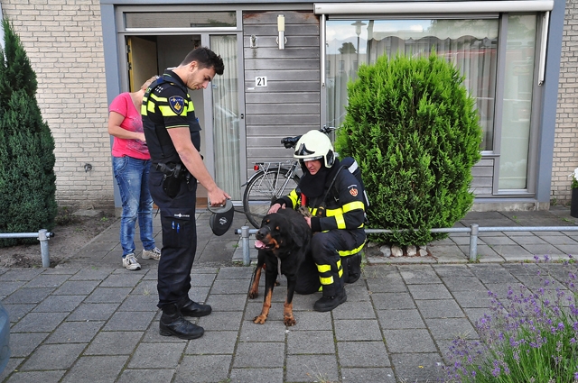 Brandweer redt hond bij keukenbrand in Waalwijk