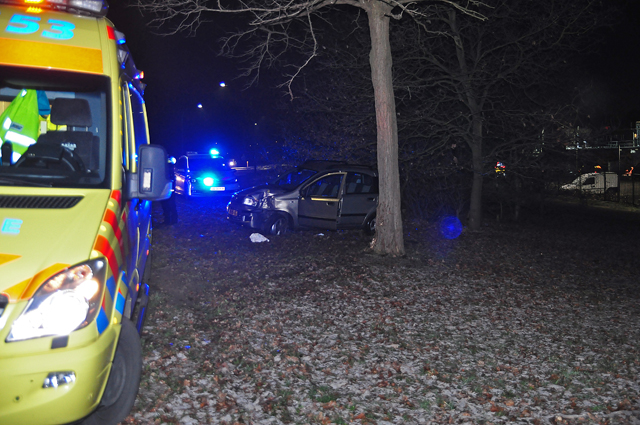 Automobiliste vliegt uit de bocht en ramt boom in Waalwijk