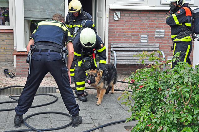 Brandweer redt hond uit brandend huis in Waalwijk