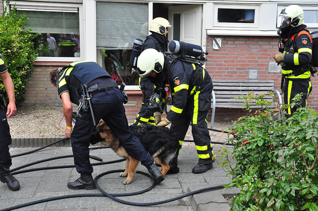 Brandweer redt hond uit brandend huis in Waalwijk