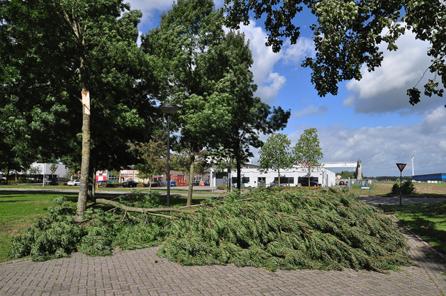 Grote tak belandt op wegdek aan de Industrieweg Waalwijk