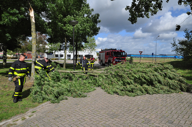 Grote tak belandt op wegdek aan de Industrieweg Waalwijk