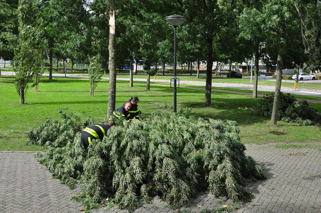Grote tak belandt op wegdek aan de Industrieweg Waalwijk