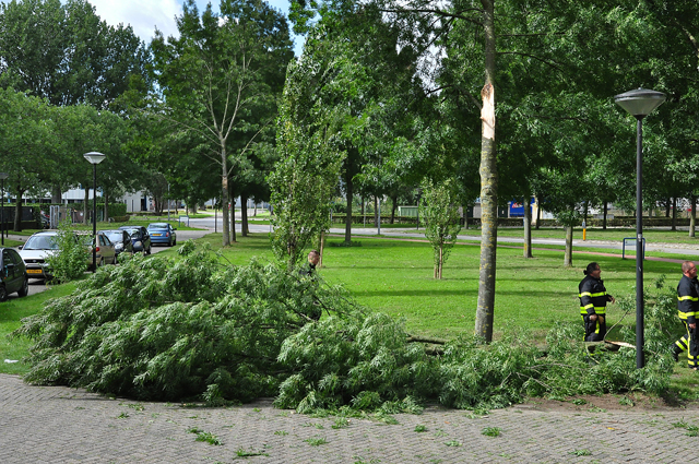 Grote tak belandt op wegdek aan de Industrieweg Waalwijk