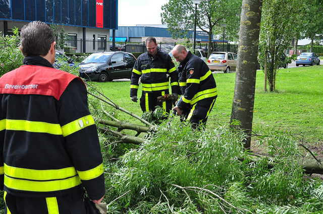 Grote tak belandt op wegdek aan de Industrieweg Waalwijk