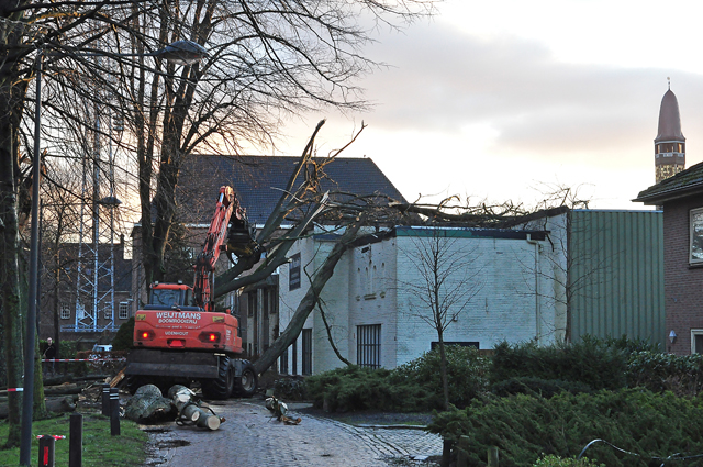 Boom valt op kantoorpand aan de Winterdijk Waalwijk