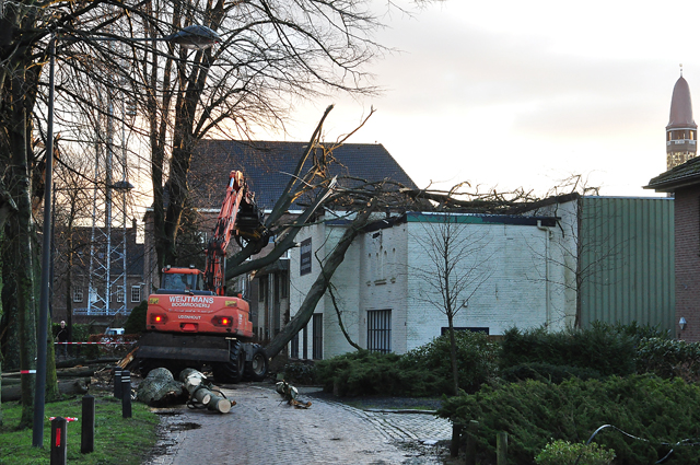 Boom valt op kantoorpand aan de Winterdijk Waalwijk