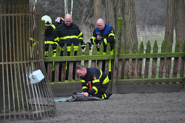 Lammetje gered uit ijskoud water in Waalwijk