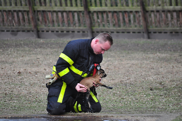 Lammetje gered uit ijskoud water in Waalwijk