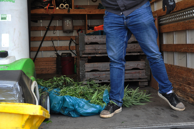 Hennepkwekerij in woning in Waalwijk ontdekt, planten direct vernietigd