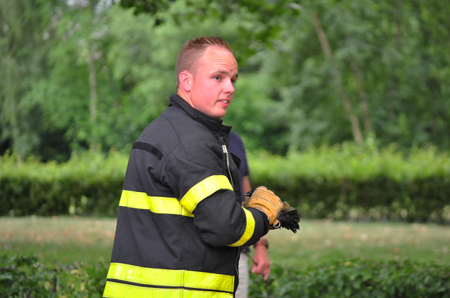 Kraai hangt vast in boom in Waalwijk