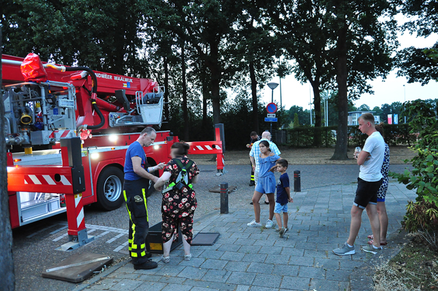 Brandweer redt valkparkiet uit boom in Waalwijk