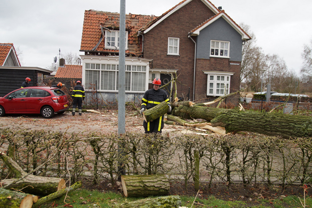 Boom valt op huis in Baardwijksestraat Waalwijk