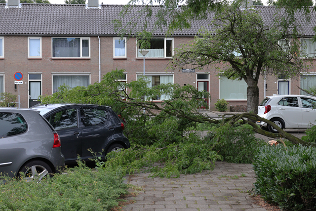 Grote tak valt op twee auto's aan de Prof. Treubstraat Waawijk
