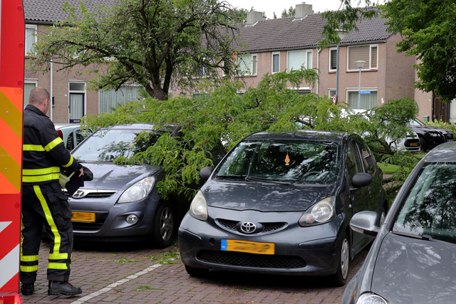 Grote tak valt op twee auto's aan de Prof. Treubstraat Waawijk