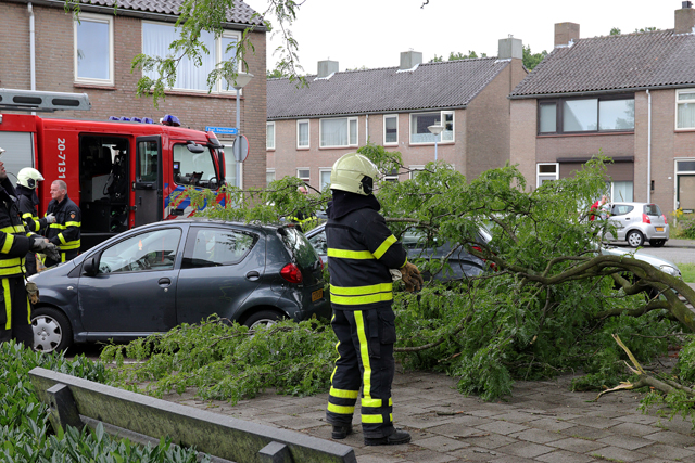 Grote tak valt op twee auto's aan de Prof. Treubstraat Waawijk