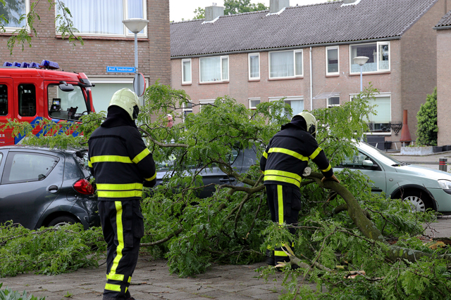 Grote tak valt op twee auto's aan de Prof. Treubstraat Waawijk