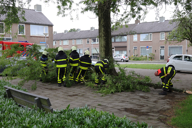 Grote tak valt op twee auto's aan de Prof. Treubstraat Waawijk