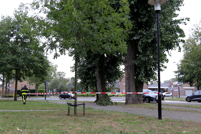Gevaarlijk hangende tak aan de Burg. Smeelelaan Waalwijk