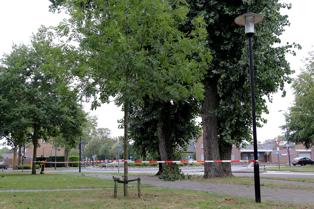 Gevaarlijk hangende tak aan de Burg. Smeelelaan Waalwijk