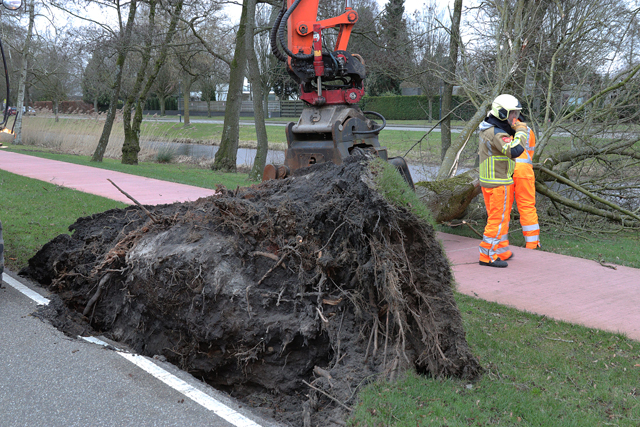 Boom waait om op fietspad aan de Burg. Smeelelaan Waalwijk