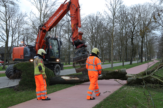 Boom waait om op fietspad aan de Burg. Smeelelaan Waalwijk