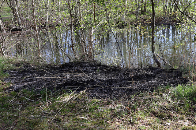 Buitenbrandje in bossen aan de Drunenseweg Waalwijk