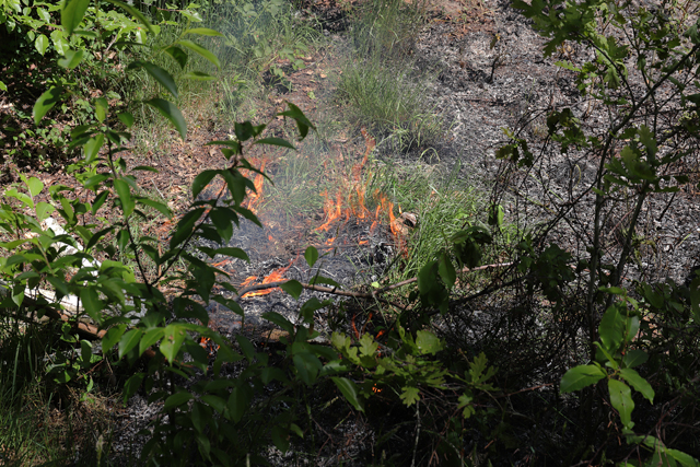 Brand in bossen aan de Drunenseweg Waalwijk