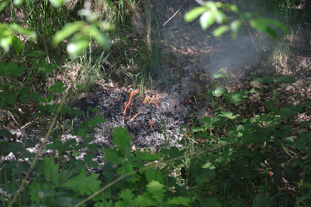 Brand in bossen aan de Drunenseweg Waalwijk