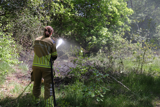 Brand in bossen aan de Drunenseweg Waalwijk