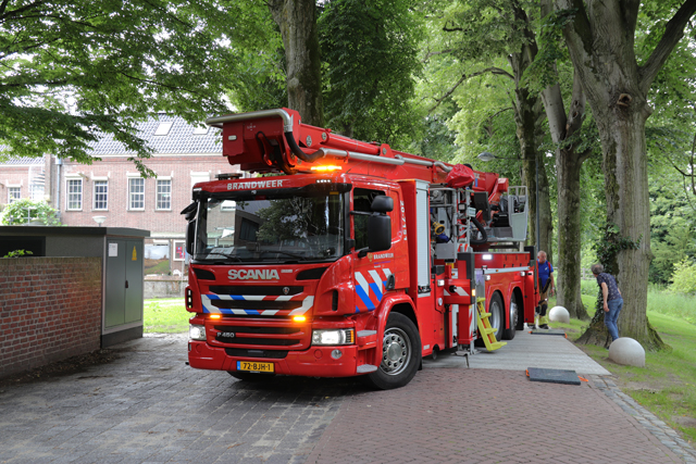 Kat laat zich vallen in handen van omstanders aan de Winterdijk Waalwijk