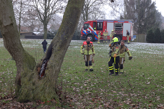 Boom in brand aan de Winterdijk Waalwijk