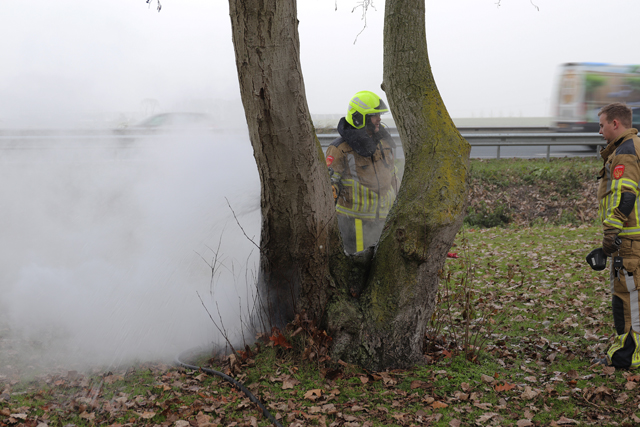 Boom in brand aan de Winterdijk Waalwijk