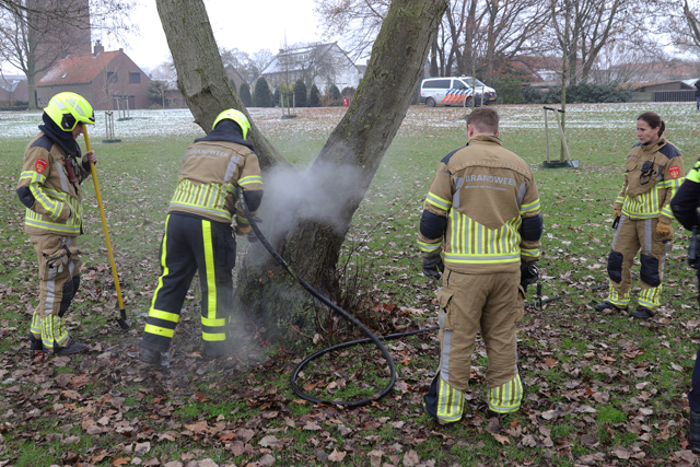 Boom in brand aan de Winterdijk Waalwijk