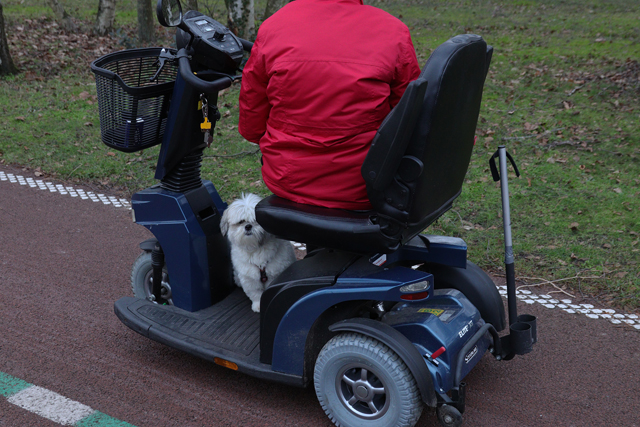 Hondenriem vast tussen scootmobiel tijdens uitlaten hondje aan de Burg. van der Klokkenlaan Waalwijk