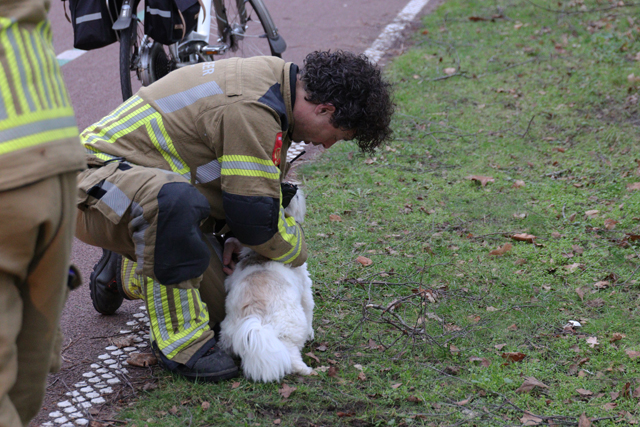 Hondenriem vast tussen scootmobiel tijdens uitlaten hondje aan de Burg. van der Klokkenlaan Waalwijk
