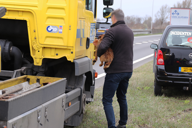 Bestelbus botst achterop vrachtwagen op de Midden-Brabantweg Waalwijk