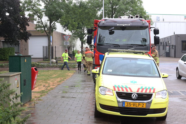 Eendje in duiker aan de Cesar Francklaan Waalwijk