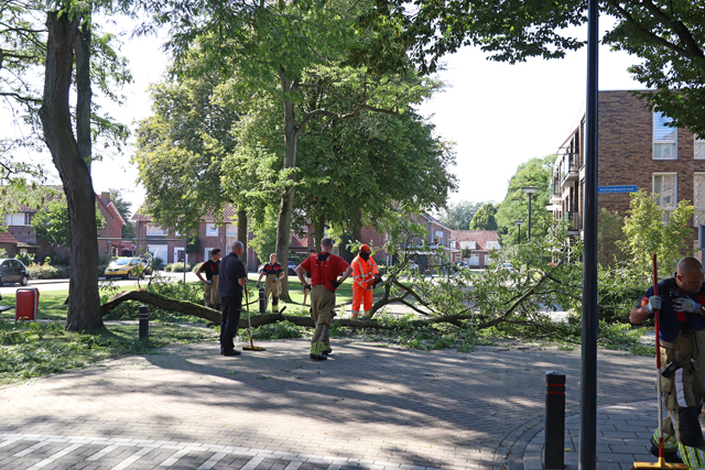 Kinderen en ouderen ontsnappen ternauwernood aan grote tak aan de Molenstraat Waalwijk