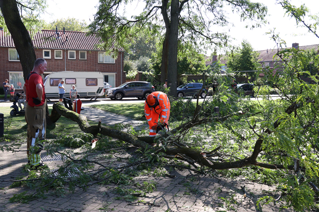 Kinderen en ouderen ontsnappen ternauwernood aan grote tak aan de Molenstraat Waalwijk
