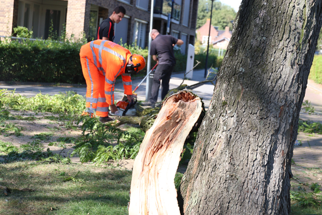 Kinderen en ouderen ontsnappen ternauwernood aan grote tak aan de Molenstraat Waalwijk