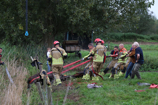 Brandweer redt met hijskraan uitgeput paard uit sloot aan het Westeinde Waalwijk
