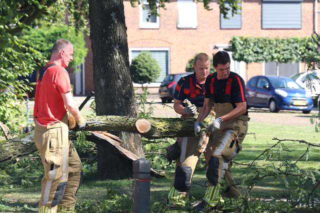Kinderen en ouderen ontsnappen ternauwernood aan grote tak aan de Molenstraat Waalwijk