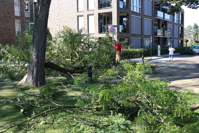 Kinderen en ouderen ontsnappen ternauwernood aan grote tak aan de Molenstraat Waalwijk