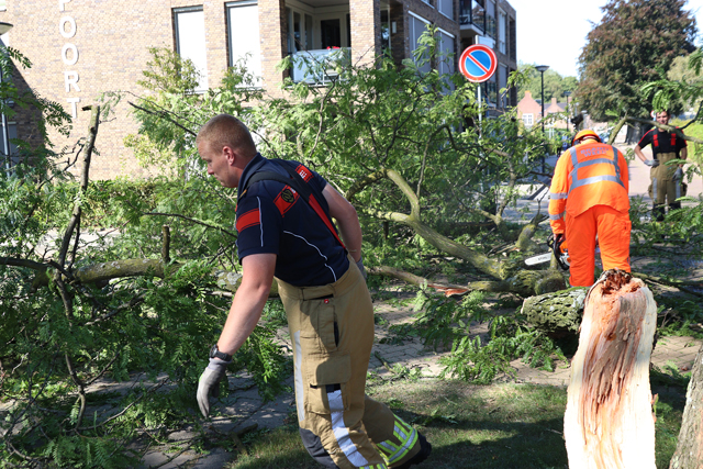 Kinderen en ouderen ontsnappen ternauwernood aan grote tak aan de Molenstraat Waalwijk