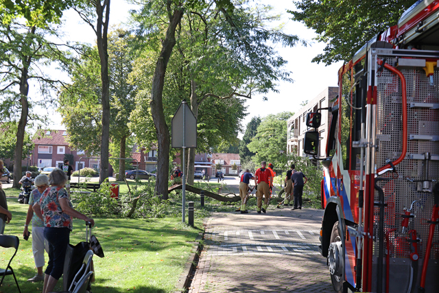 Kinderen en ouderen ontsnappen ternauwernood aan grote tak aan de Molenstraat Waalwijk