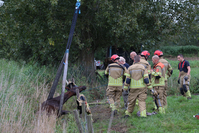 Brandweer redt met hijskraan uitgeput paard uit sloot aan het Westeinde Waalwijk