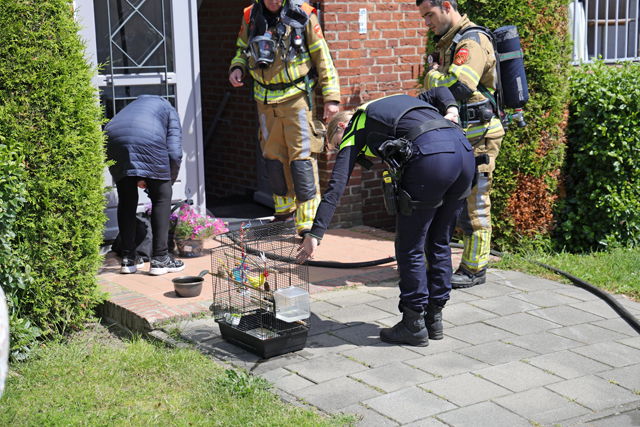 Hondje en vogeltje gered uit woning vol rook aan het Hertog Janpark Waalwijk