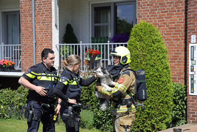 Hondje en vogeltje gered uit woning vol rook aan het Hertog Janpark Waalwijk